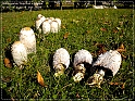 05Dec2009-41