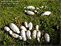 05Dec2009-43