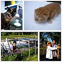 HBD2009-10