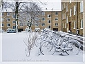 TheSnowAndI03