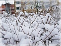 TheSnowAndI04