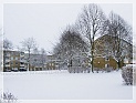 TheSnowAndI05