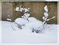 TheSnowAndI07