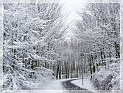 TheSnowAndI49