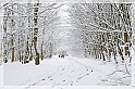 TheSnowAndI69