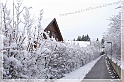 TheSnowAndI72
