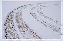 TheSnowAndI77