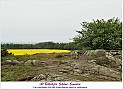 Kungsmarken-168
