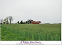 Kungsmarken-202