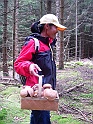 svamp-26Juli09-16