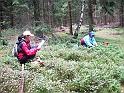 svamp-26Juli09-25