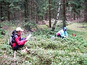 svamp-26Juli09-27
