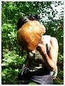MushroomsSweden-09