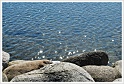 osterlen-10