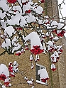 05Dec2009-209