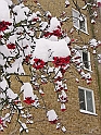 05Dec2009-210
