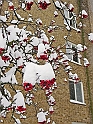 05Dec2009-211