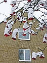 05Dec2009-212