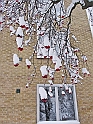 05Dec2009-216