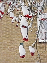 05Dec2009-217