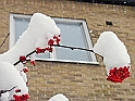 05Dec2009-221
