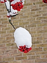 05Dec2009-225