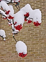 05Dec2009-228