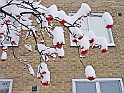 20Dec2009-219