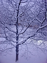 DSC09743
