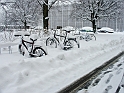 DSC09798