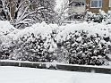 DSC09837