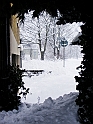 DSC09846
