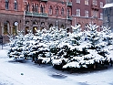 DSCN8877