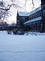 DSCN8881