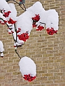 Dec2009-226