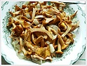 Chanterelle-14