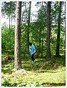 Chanterelle-44