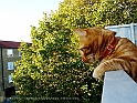 DSC00581