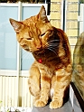 DSC01188