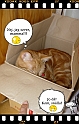 Boon-maa+Mamma_II-03