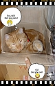 Boon-maa+Mamma_II-04