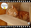 Boon-maa+Mamma_II-05