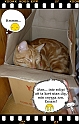 Boon-maa+Mamma_II-06