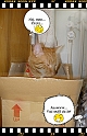 Boon-maa+Mamma_II-07