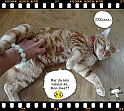 Boon-maa+Mamma_II-08