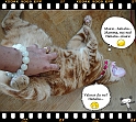 Boon-maa+Mamma_II-09