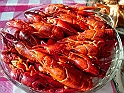 DSCN8835