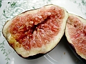 DSCN9033