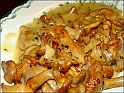 kantarell
