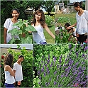 LamaisGarden2010-001
